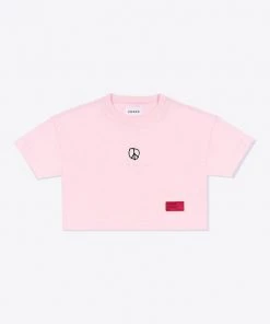 Sree Santhosh Power Of Love Crop (Pink)